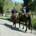 Cabalgatas en Pucón