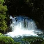 Ojos de Caburgua Pucón