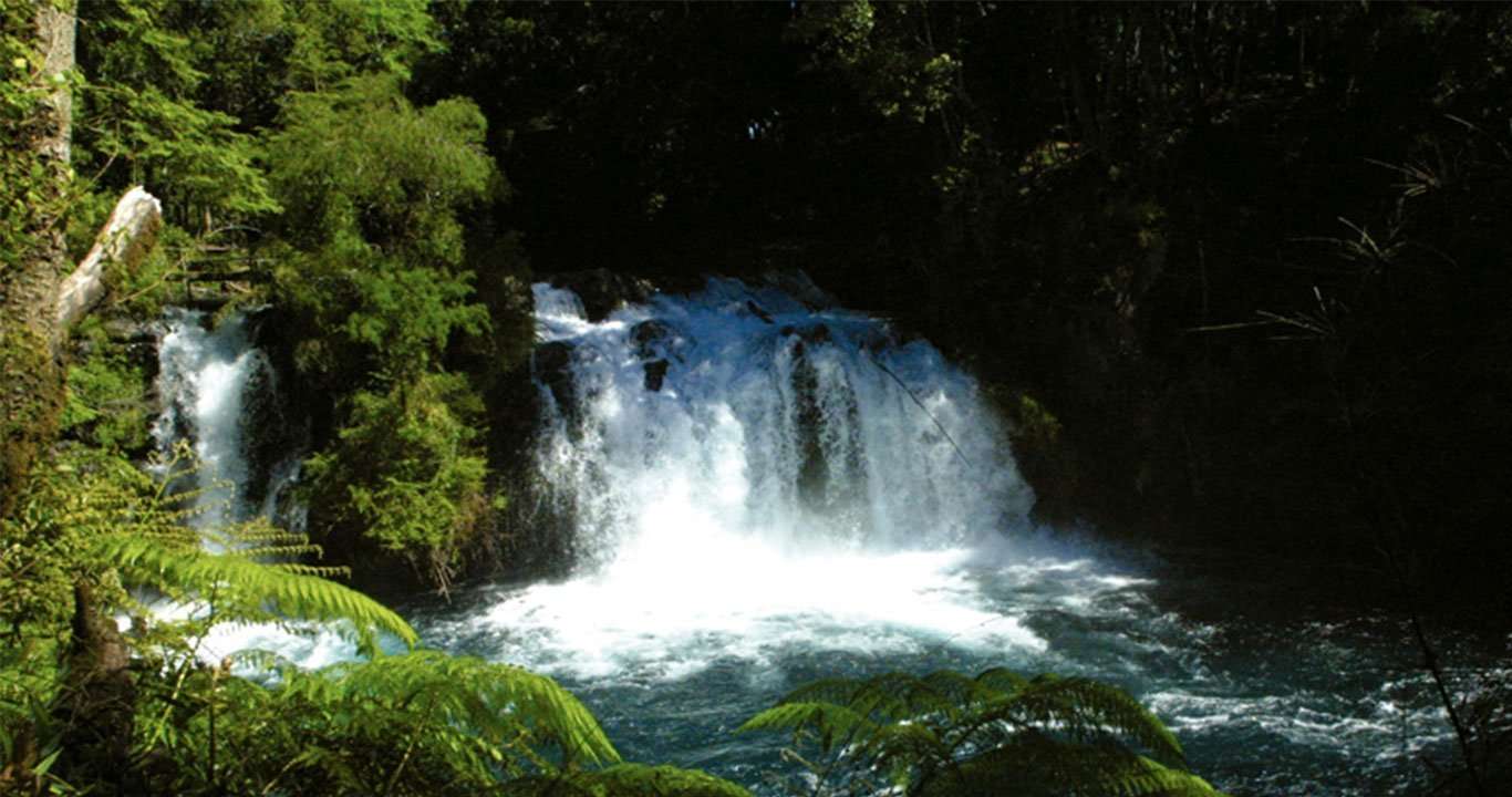 Ojos de Caburgua Pucón