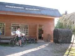 pasteleria mamacelia