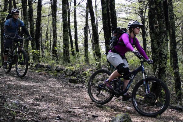 Pedalea Pucón – Zona Quelhue