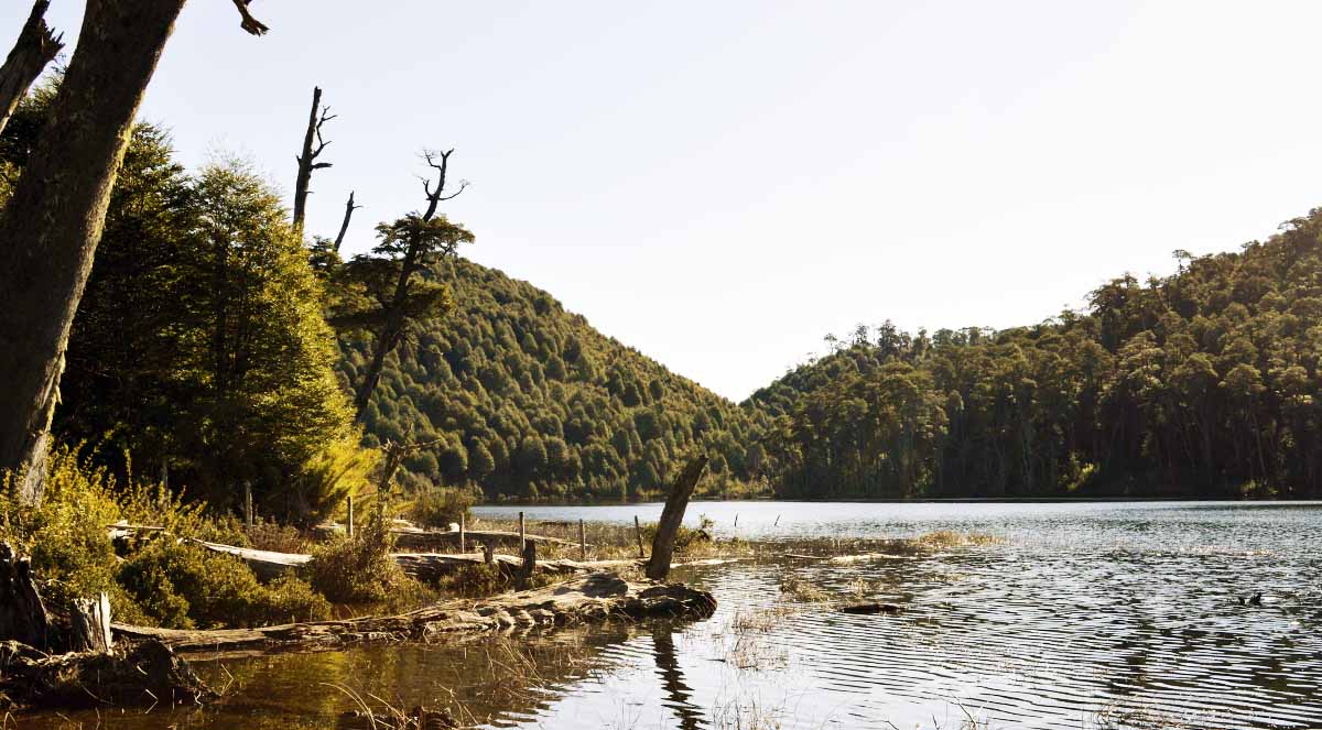 Lagunas Parque Nacional Huerquehue