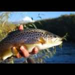 Pucón “Capital del Turismo Aventura”