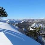 Reserva El Cañi Pucón