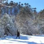 Reserva El Cañi Pucón