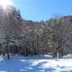 Reserva El Cañi Pucón