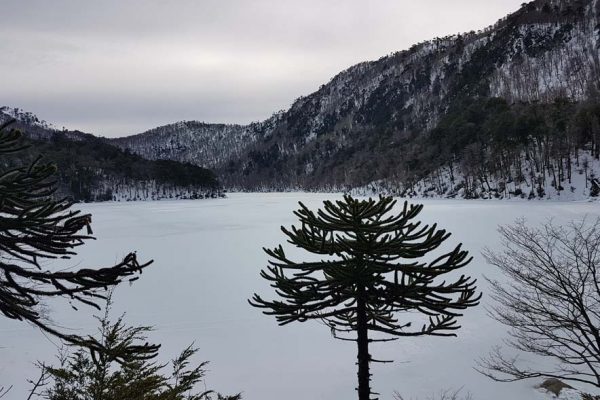 Sendero Los Lagos - Parque Nacional Huerquehue