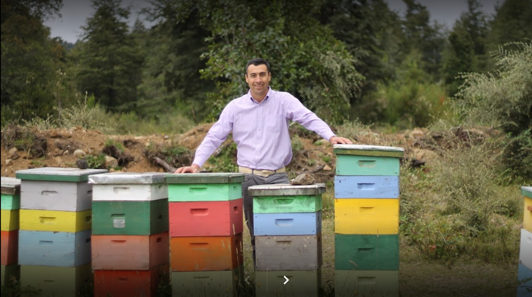 Vota por Montaña Bee en la Selección Nacional de Pymes de Sercotec