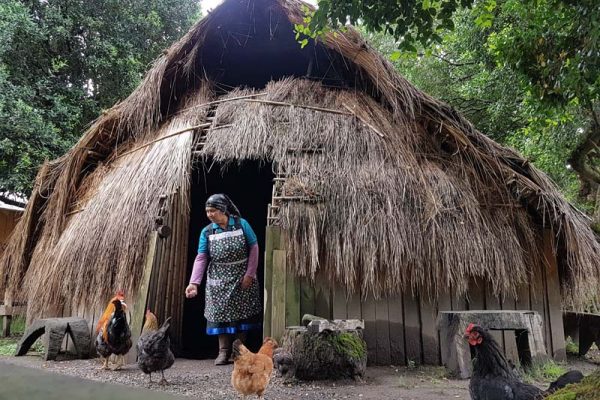 Turismo Mapuche Pucón