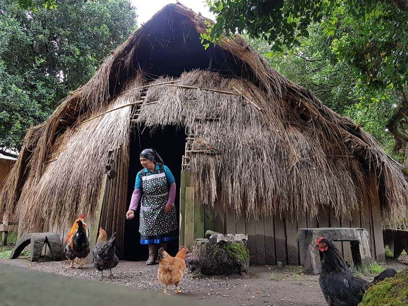 Turismo Mapuche Pucón