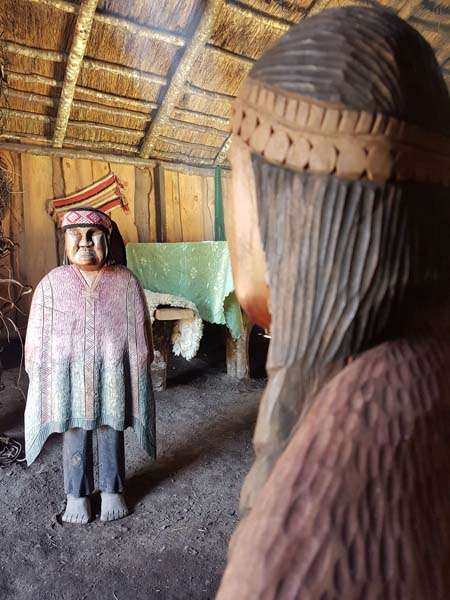 Turismo Mapuche Pucón