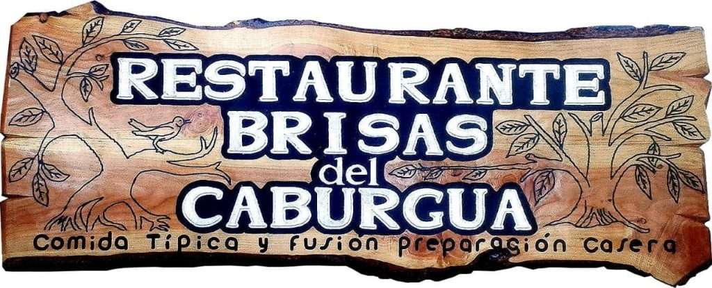 Brisas del Caburgua