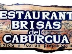 Brisas del Caburgua