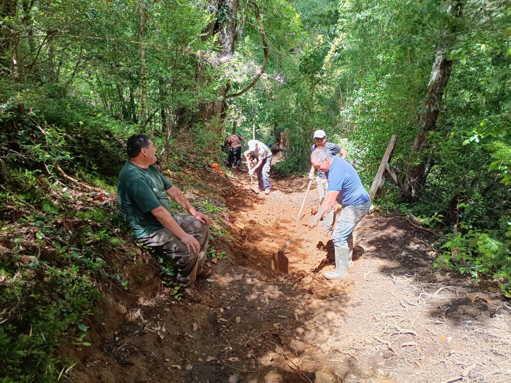 Minga Parque Naciona Huerquehue