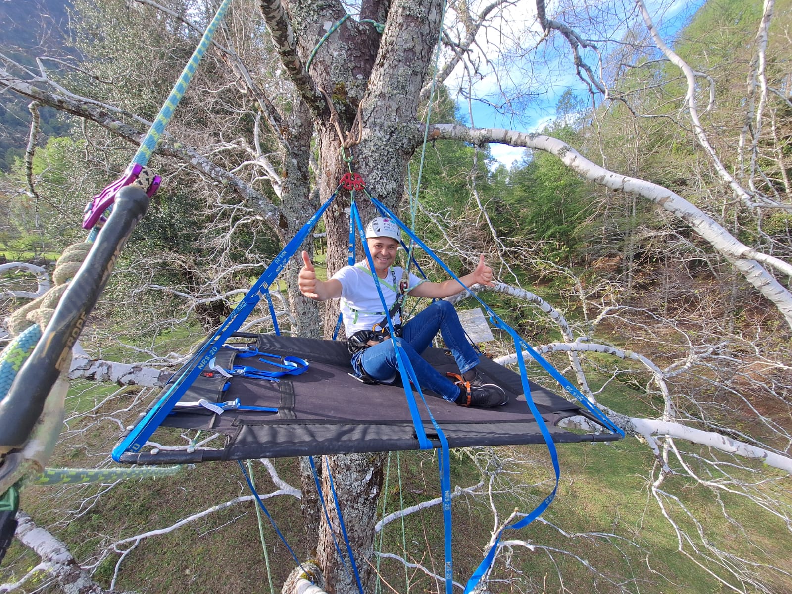 Tree Climbing Pucon
